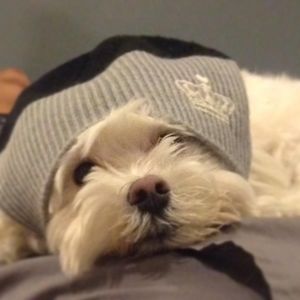 Meet your Posher, Lourdes